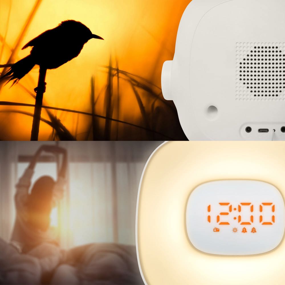 ML-198 | Muse wake up light FM radio