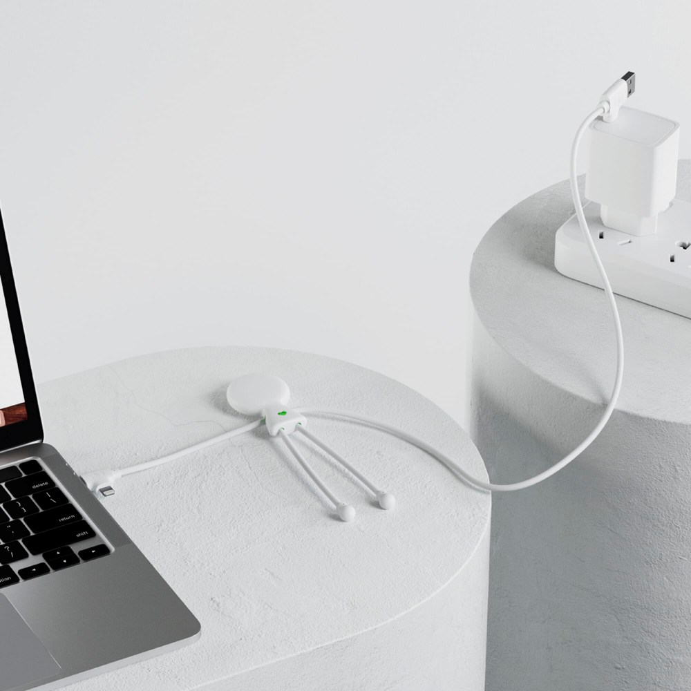 2089 | Xoopar Mr. Bio Long Power Delivery Oplaadkabel